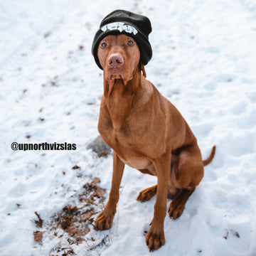 TOQUE / HAT